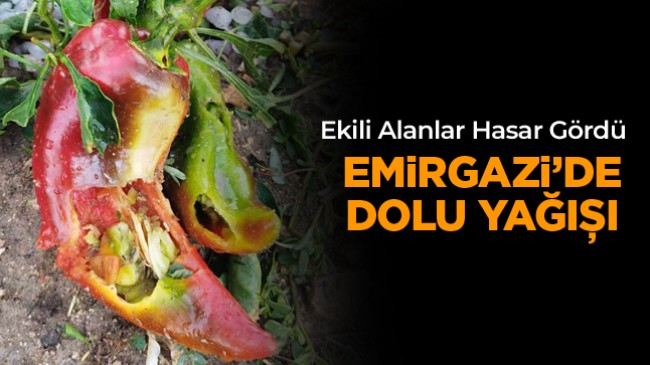 Dolu Yağışı Emirgazi’de de Etkili Oldu. Ekili Alanları Dolu Vurdu