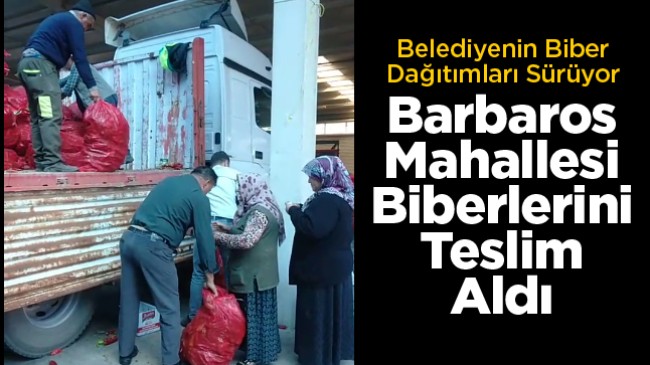 Ereğli Belediyesi Biber Dağıtımını Barbaros Mahallesi İle Sürdürdü