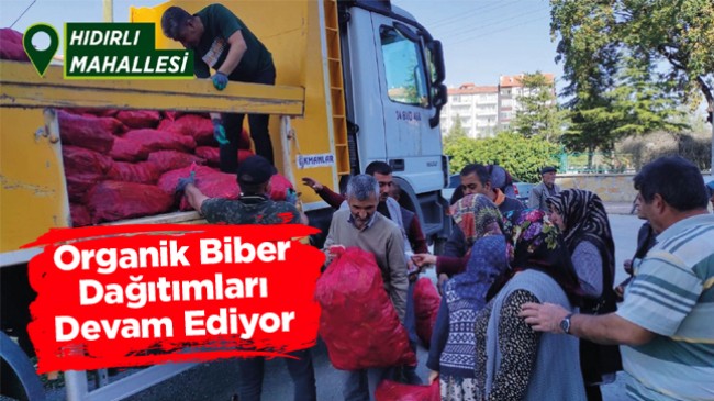 Organik Biberlerin Dağıtımı Aralıksız Sürüyor. Ereğli’de 3 Mahalle Daha Biberlerini Aldı