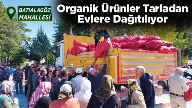 Organik Biberlerin Dağıtımı Devam Ediyor. Doğuelagözlü ve Batıelagözlü Mahallesinde Dağıtım Yapıldı