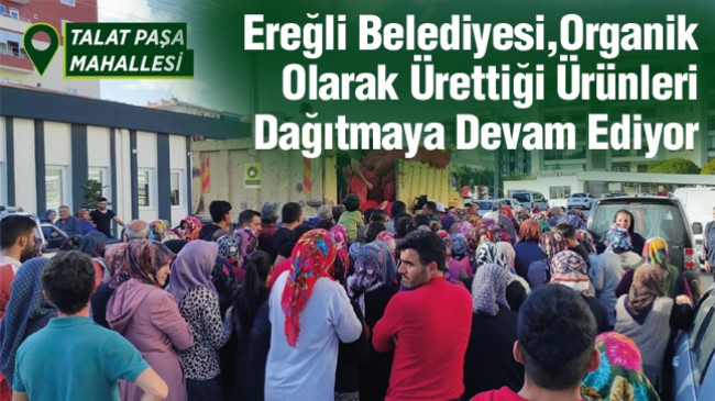 Mimar Sinan, 500 Evler ve Talatpaşa Mahallelerinde Biber Dağıtımı Yapıldı