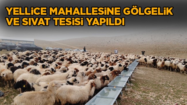 Ereğli İlçe Tarım ve KOP İdaresince 3 Milyon Maliyetle Kurulan Tesislerin Açılışı Yapıldı