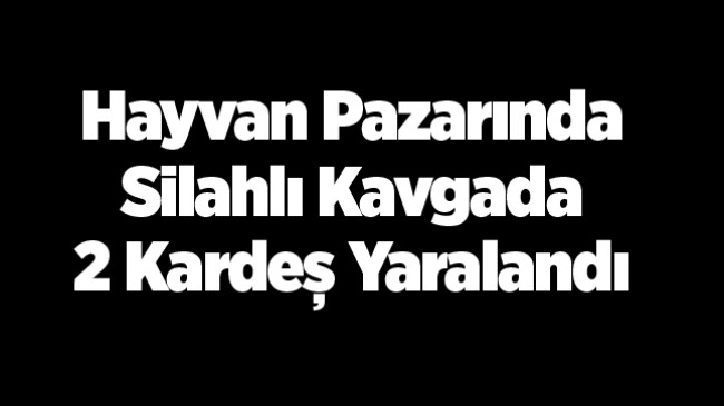 İki Kardeş Hayvan Pazarında Husumetlisi Tarafından Tabanca İle Vuruldu