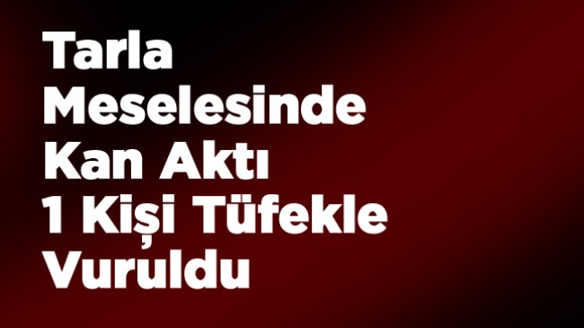 Tarla Meselesi Kavgaya Dönüştü. 1 Kişi Tüfekle Vuruldu