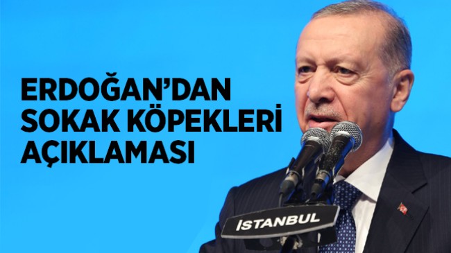 Cumhurbaşkanı Erdoğan’dan, Sokak Köpekleri İle İlgili Açıklama