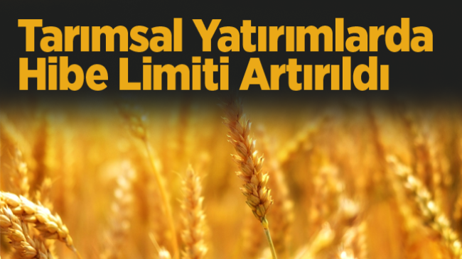 Tarımsal Yatırımlarda Hibe Limitleri Artırıldı