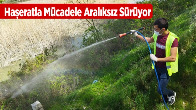 Ereğli Belediyesi Haşeratlarla Mücadelesini Başlattı