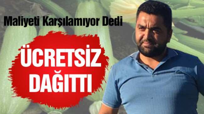 Yetiştirdiği Kabaklar Maliyeti Karşılamayınca Vatandaşlara Ücretsiz Dağıtıyor