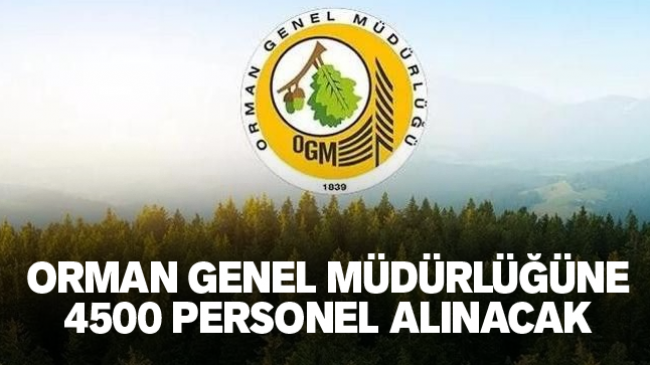 Orman Genel Müdürlüğüne 4500 Personel Alınacak