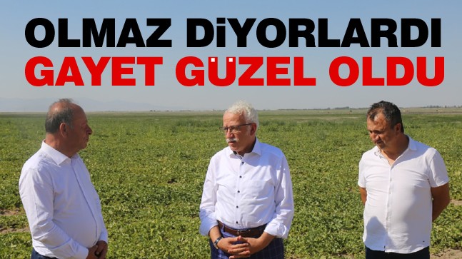 Ereğli Belediyesi ve NEÜ, Türkiye’de Bir İlki Gerçekleştirdi