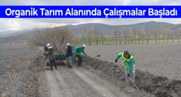 Ereğli Belediyesi Organik Tarım Bölgesinde Çalışmalarına Başladı