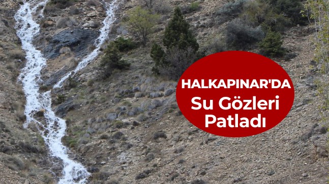 Halkapınar’da Deli Pınar ve Gelin Kayasında Su Gözü Patladı